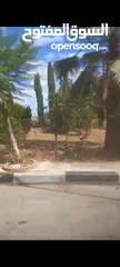  1 دونم ارض للببع للبيناء واصل كل الخدمات  في منطقه  بيت جالا