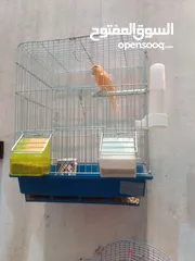  3 كنارات للبيع جاهزه