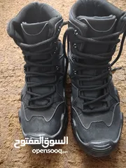  1 موجودات اربد حكما  كلهم وكاله