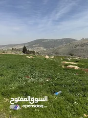  2 ارض 6 دنمات شمال عمان لواء عين الباشا قرية ام انجاصه قطعه مرتفعه ومطله وقريبه من جميع الخدمات