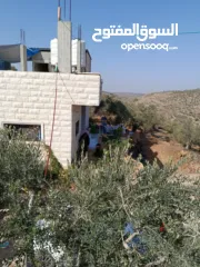  1 بيت للبيع في قرية عوريف جنوب نابلس