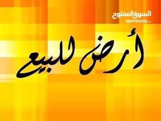  2 قطعة ارض في زناتة مساحة 240 متر على الرئيسي للبيع