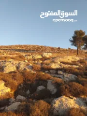  8 ارض للبيع او البدل كوشان طابو جاهز