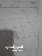  1 ارض زراعيه للبيع في ضبعه