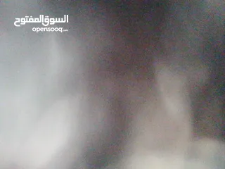  12 الواح فوم متعددة الاستعمال للديكور بسعر حرق حرق حرق حرق حرق حرق حرق حرق حرق حرق حرق حررررررررررررققق