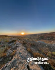  3 ارض للبيع 915 م سكن أ شارع المطار _ ناعور _ حسبان _ طريق الجامعة الالمانية من المالك مباشرة