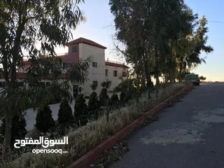  23 قصر على أعلى نقطة خربة الطوي على 10 دنمات