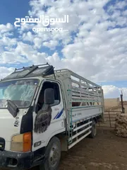  1 ديانا للبيع