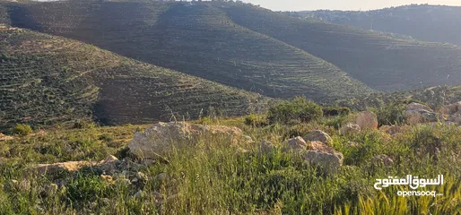  8 قطعة أرض للبيع من أراضي بلدة سنجل منطقة غرابة، مطلة على الساحل، منطقة A، قوشان طابو سلطة مستقل