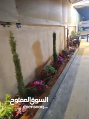  1 مزرعه للايجار جديده قريبه من عمان مريحه واستثنائيه