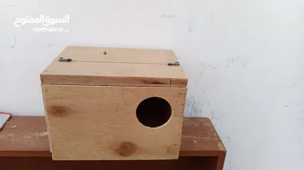  3 كواخ عصافير وكوكتيل بسعرر حرق يوجد كميات