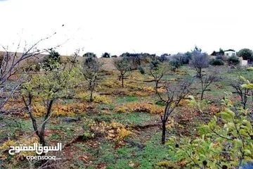  4 قطعة ارض للبيع في عجلون اشتفينا المنطقه السياحيه