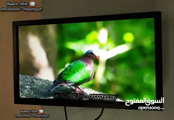  4 شاشة 24 بوصة LED FUll HD IPS معاها رسيفر و قاعدة مكتب و حامل حائط و ضمان سنة