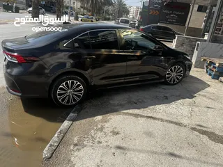  6 تيوتا كورولا 2019 تسيير 2021 طولكرم