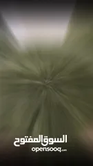  10 لحاف الريش المفـرد الأصلي – دبل فيس – الوزن الثقيل دفا فخم من أول ليلة... على الوجهي