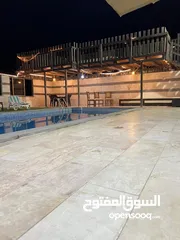  15 مزرعة الطيب
