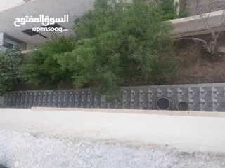  6 بيت مستقل دوبلكس للبيع الزرقاء ضاحية المدينة المنورة