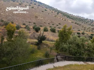  8 مزرعه مع 2 بيت ريفي مخدومه ماء وكهرباء مساحتها 4712