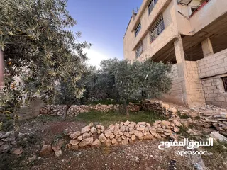  7 عمارة ثلاث طوابق + شقة ارضية عظم +تسوية  + كراج سيارات  للبيع
