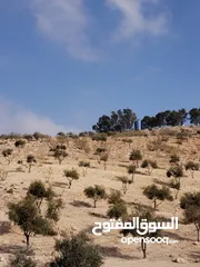  4 5 دنمات 300 متر عن شارع جرش عمان