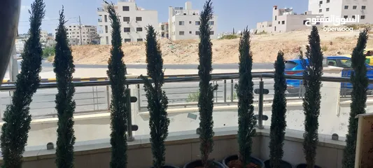  2 شجار طبيعي