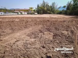  6 For sale land in  Nad Al Sheba 1 ⁠Freehold