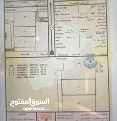  1 ارض زراعيه للبيع في الهرم جنوب وسط الخدمات - فرصة