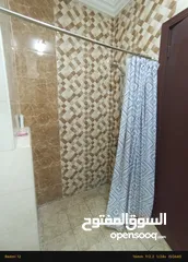  7 Male Bachelor's Room Available