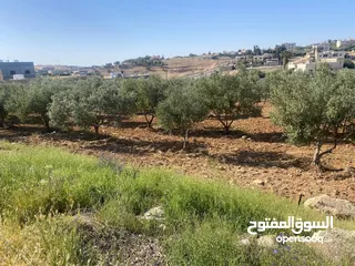  9 قطعتان ارض للبيع احدهما تجاري و الاخرى سكني ب على مدخل ذيبان /مادبا