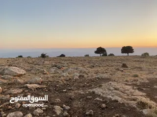  1 قطعه ارض مميزه بإطلاله بانوراما فلسطين