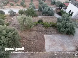  17 بيت ريفي للبيع في جرش - ثغرة عصفور