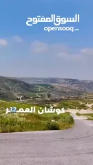  9 ارض تقع على 3 شوارع مساحه  (1100) دونم و100م للبيع من المالك _ شارع مادبا الغربي - مقابل بلدية حسبان
