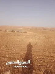  3 قطعه ارض مرتفعه ومطله منطقة شاليهات شرق جرش منطقة حميد  70 دنم سعر مغري جدا تصليح لمشروع استثماري