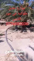  4 ارض 15 دنم السلط البطين اطلالة غربية كاملة ع جبال فلسطين