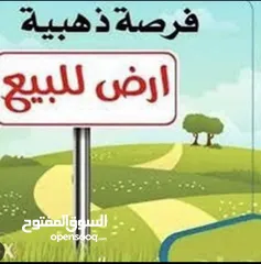  1 قطعة ارض زراعية مميزة للبيع