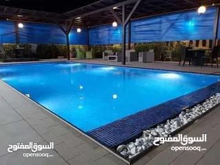  29 مختصين ببرك السباحة والشلالات
