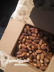  6 مطلوب شريك ممؤل لتجاره بلح بين الشماليه وشندي ربح مضمون بإذن الله