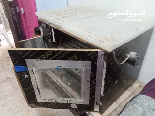  11 فقاسه بيض دجاج وفري