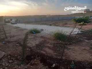  6 فرصة  للاستثمار في أرض بموقع مميزة في المفرق –متعدد الاستخدام- طريق رحاب - التحويلة حوض الوسية