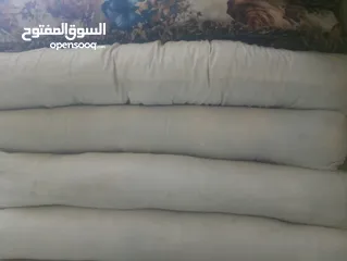  6 قعده عربي قطن