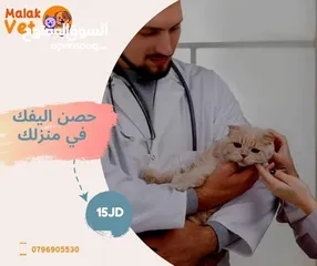  17 خدمات بيطرية متكاملة للحيوانات الاليفة