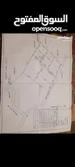  1 أرض الموقع طلوزه