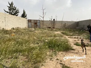  5 قطعة ارض للبيع بنغازي القوارشه