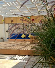  10 Beautiful chalet in dead sea with colorful decoration with BBQ area to prepare your delicious foods.