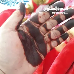  2 حنه يمنيه وسوداني لون وثبات سبوعين وأكثر وتس