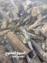  13 حطب زيتون زند وقرمي ناشف حطب لوزيات ناشف