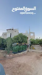  2 ابونعيم عمر