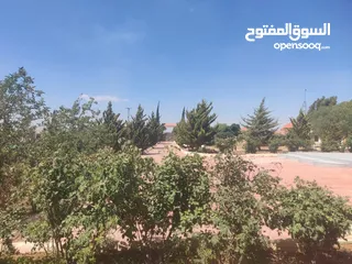  14 مادبا حواره مزرعه للبيع