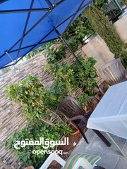  5 شقه ارضيه للبيع