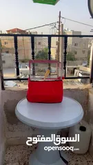  5 ذكر كنار مثل النار ما شاء الله